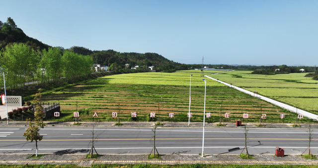 常德市 桃花源 汤家山村
