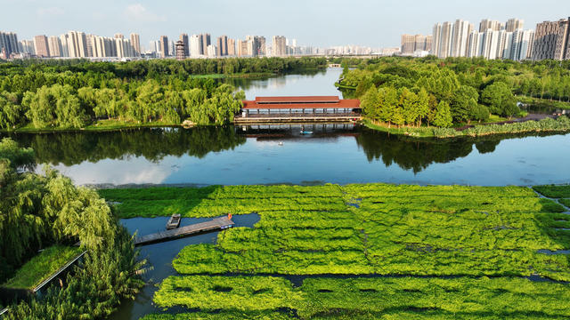 长沙  洋湖  湿地公园