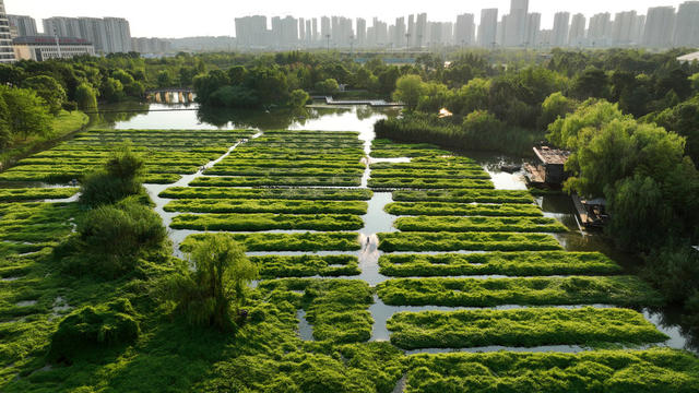 长沙  洋湖  湿地公园