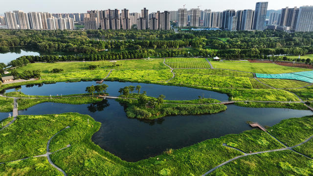 长沙  洋湖  湿地公园
