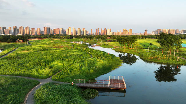 长沙  洋湖  湿地公园