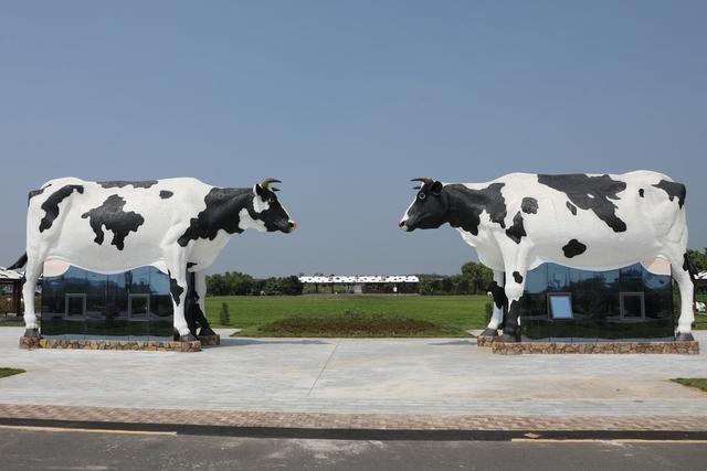 奶牛雕塑,超市,常德市西湖德人牧业
