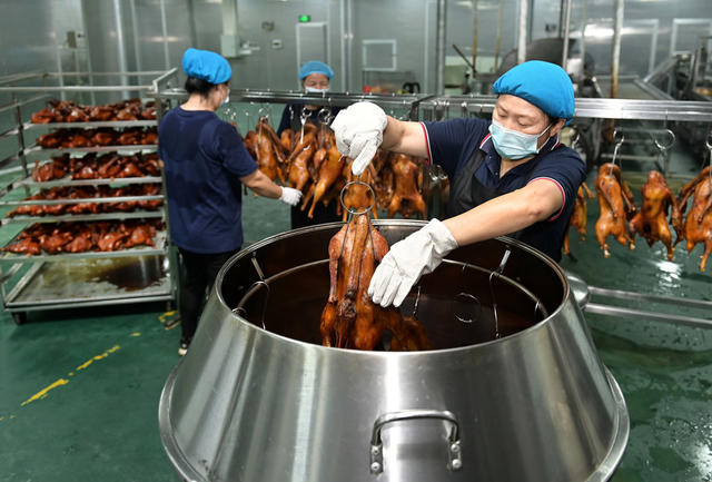 食品 传统工艺 传统食品 农副产品 深加工 武冈铜鹅 卤菜 工业园 手工业