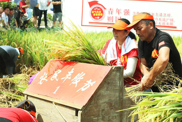 农民丰收节  乡村振兴