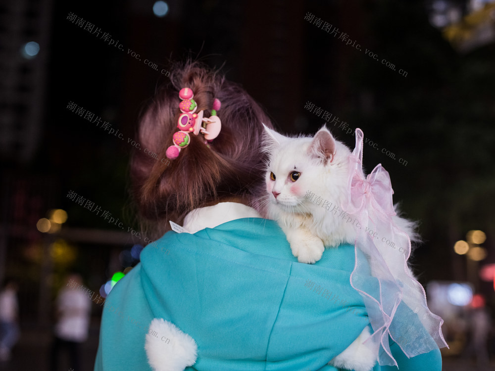 夜晚  女孩 猫  街道