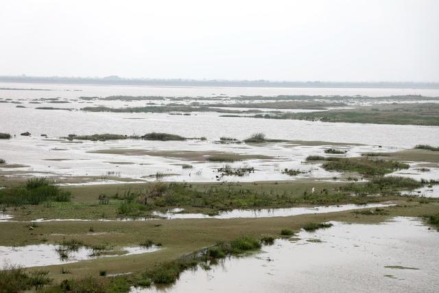 洞庭湖,湿地,候鸟,绿洲,湖水,浅滩