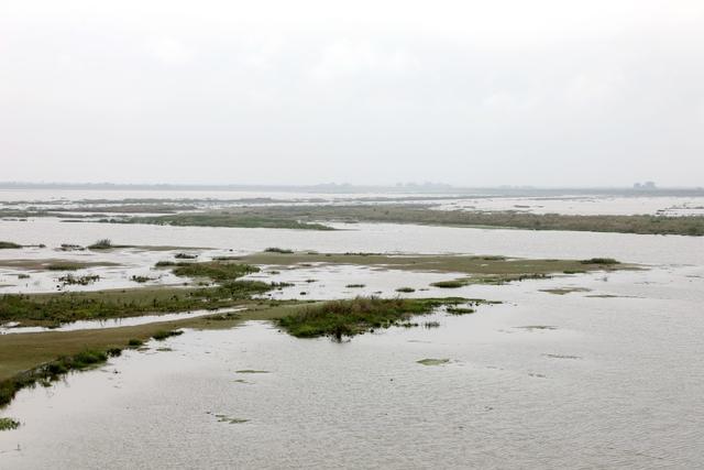 洞庭湖,湿地,候鸟,绿洲,湖水,浅滩
