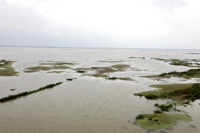 洞庭湖,湿地,候鸟,绿洲,湖水,浅滩