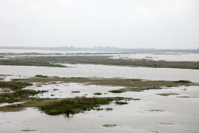 洞庭湖,湿地,候鸟,绿洲,湖水,浅滩