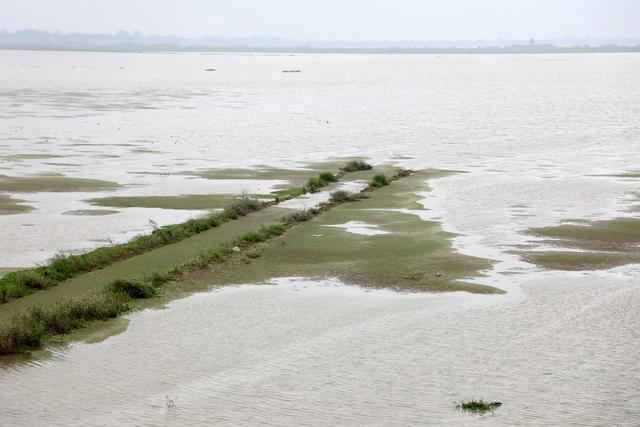洞庭湖,湿地,候鸟,绿洲,湖水,浅滩