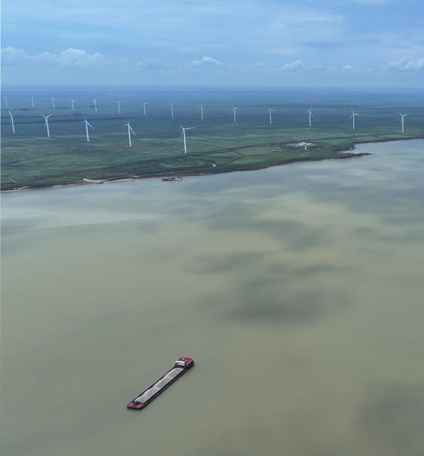 能源 风电 洞庭湖 湿地  芦苇  洞庭湖  风电