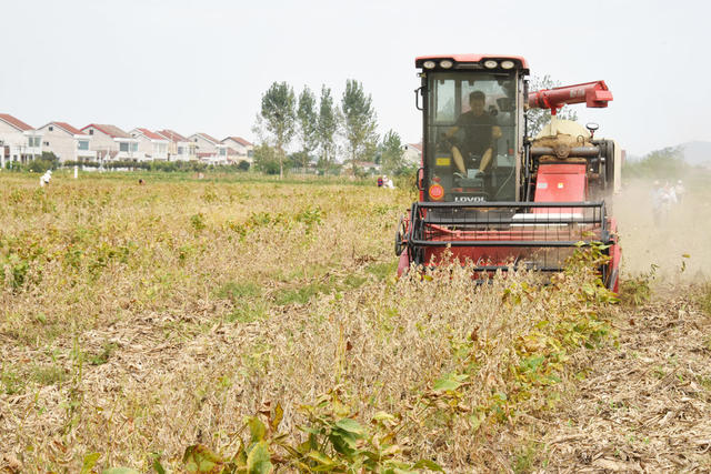 农业科技  大豆  玉米  带状套作  耕作效益   种植收入
