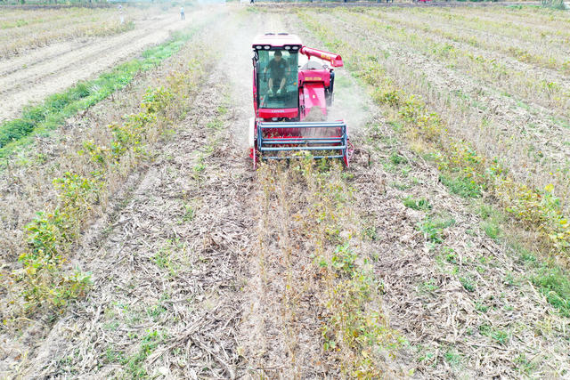 农业科技  大豆  玉米  带状套作  耕作效益   种植收入
