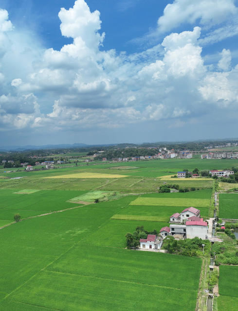 田园 风光 初秋