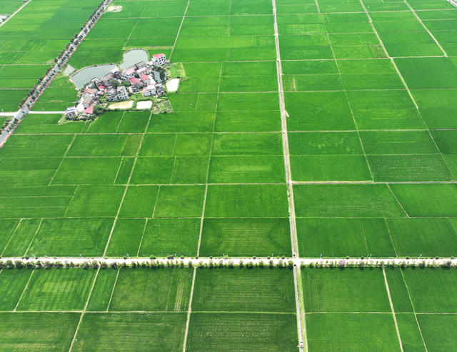 田园 风光 初秋