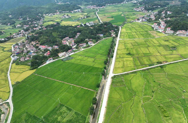 田园 风光 初秋