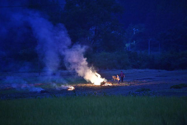 焚烧 大气污染 秸秆 农业 水稻 病虫害