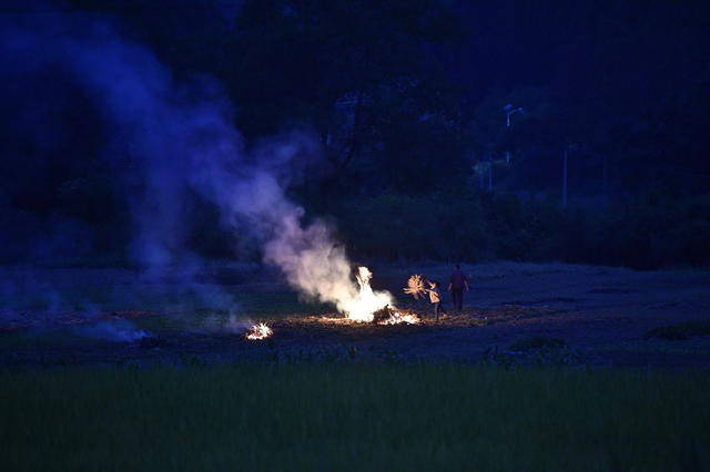 焚烧 大气污染 秸秆 农业 水稻 病虫害
