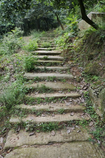 文物 朝圣 古道 石板 南岳 曾国藩 祝融