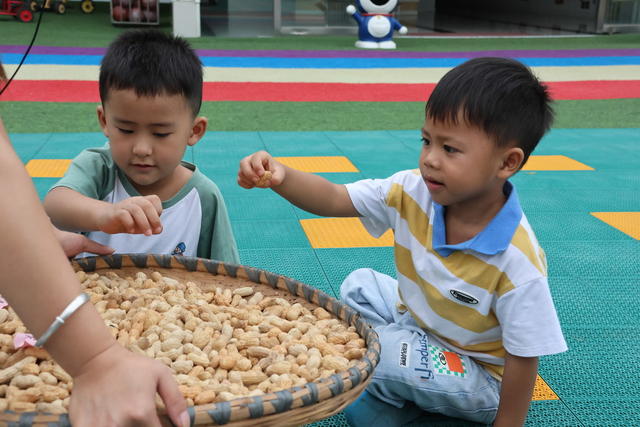 晒秋 幼儿园 中华传统民俗文化 秋天 丰收
