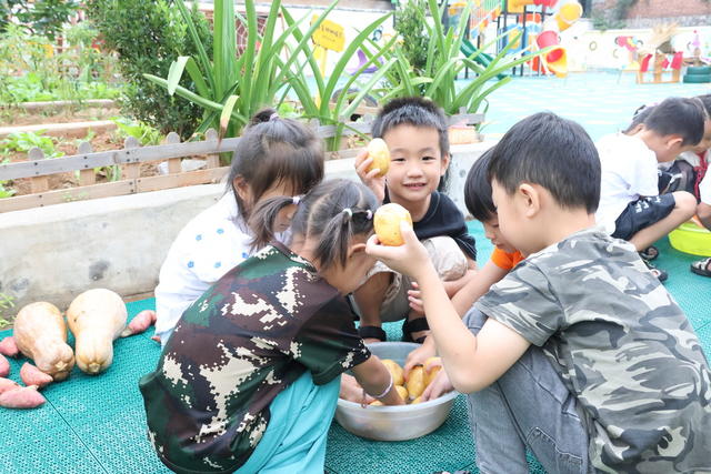 晒秋 幼儿园 中华传统民俗文化 秋天 丰收