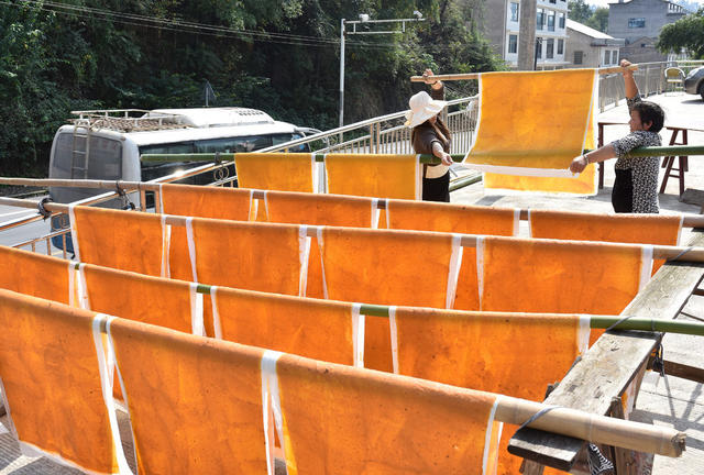 红薯片  加工  农村  合作社  产业发展  乡村振兴  农民增收  