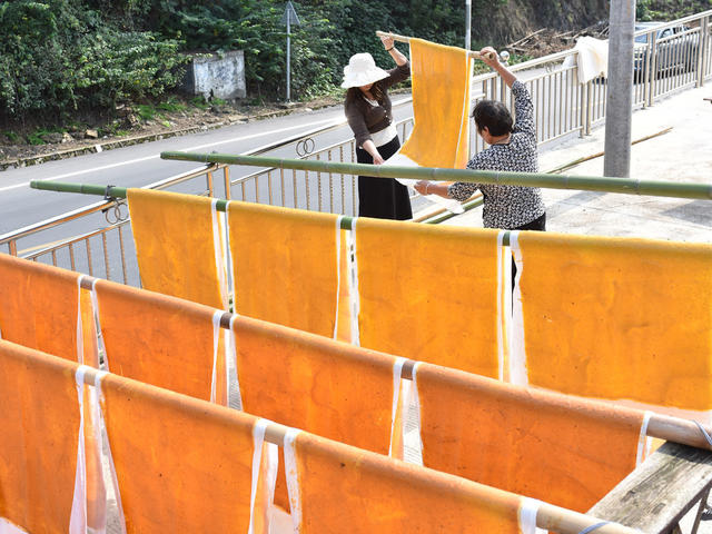 红薯片  加工  农村  合作社  产业发展  乡村振兴  农民增收  