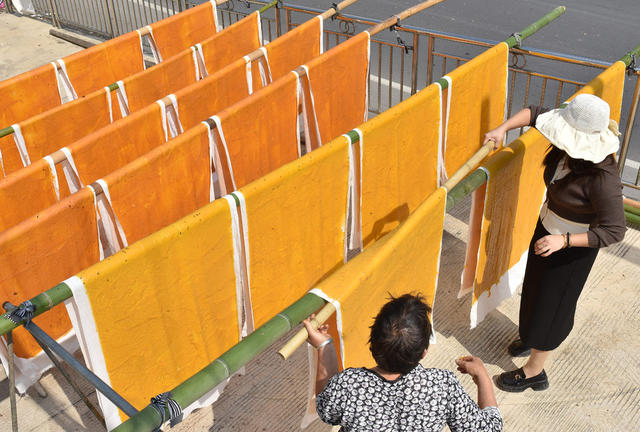 红薯片  加工  农村  合作社  产业发展  乡村振兴  农民增收  