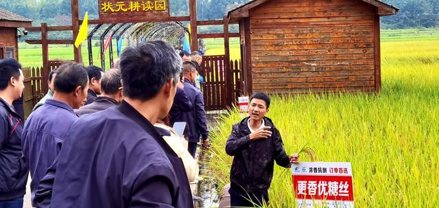 看禾选种助农增收