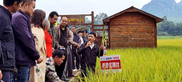 看禾选种助农增收