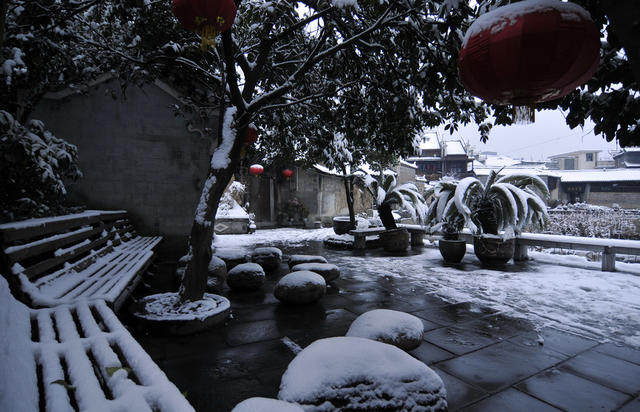 荷塘  雪  美景   古城  吉首