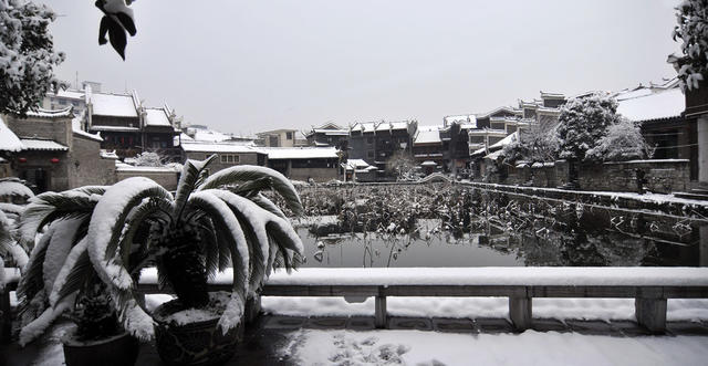 荷塘  雪  美景   古城  吉首