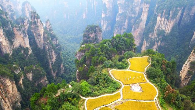 空中田园 秋收画卷