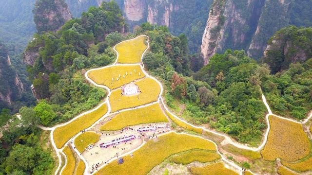 空中田园 秋收画卷