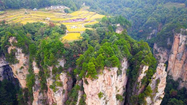 空中田园 秋收画卷