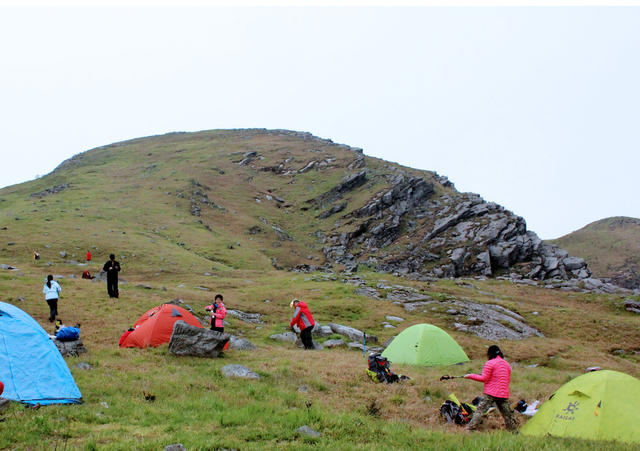郴州桂东 青娥山 游客 全域旅游 栈道