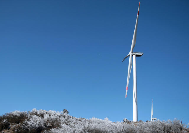 湖南郴州 万洋相思草山 南风顶 旅游目的地
