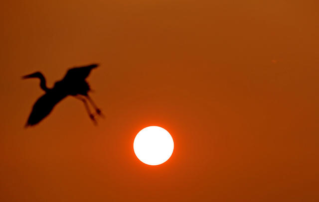 千年鸟道 “充电站” 环境 湖南桂东
