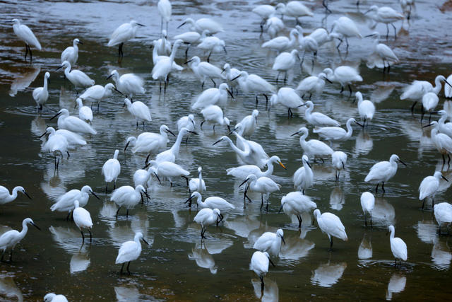 千年鸟道 “充电站” 环境 湖南桂东