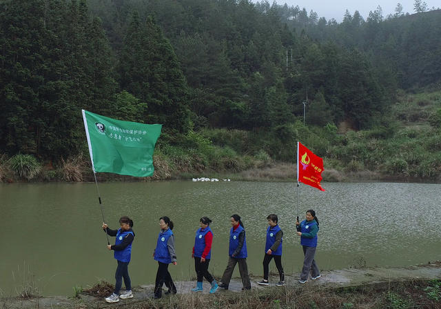 千年鸟道 “充电站” 环境 湖南桂东