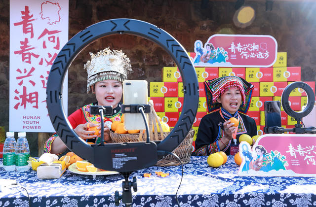 麻阳冰糖橙，采摘冰糖橙