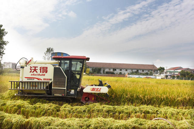 农业  粮食生产  收割机  优质晚稻  市场竞争力  增效增收