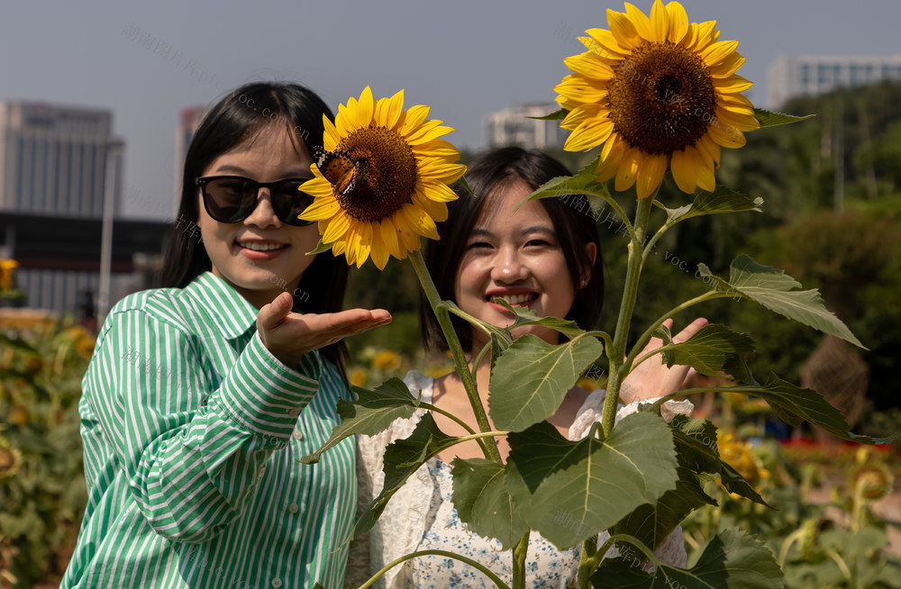 物园   美女  因花更美