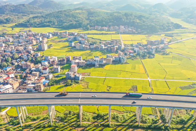 田园 金秋 水稻 稻田 丰收 美丽乡村 村庄