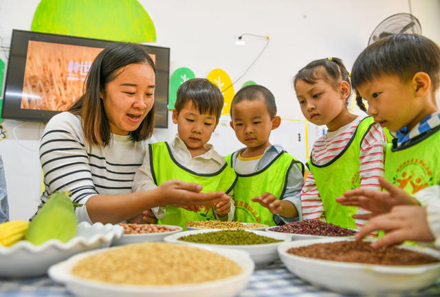 世界粮食日
道县
学生
幼儿园
教科文卫
