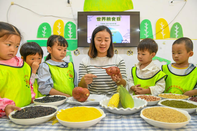 世界粮食日
道县
学生
幼儿园
教科文卫

