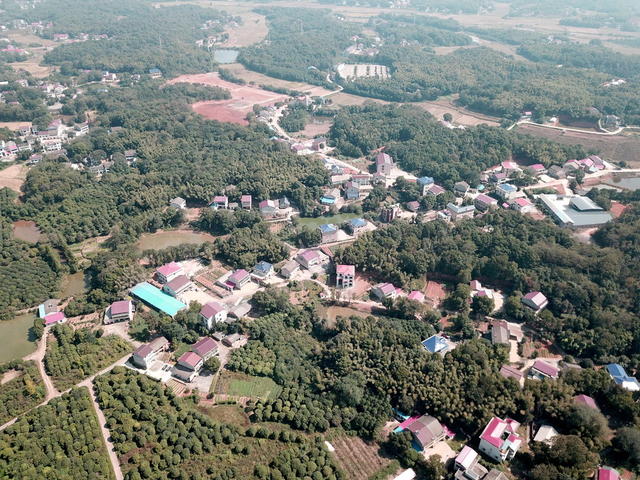 绿色口发展口穷村囗变口富村