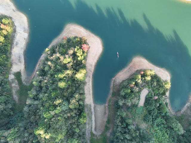 护林员  巡山  湿地  林区  保护 生态
