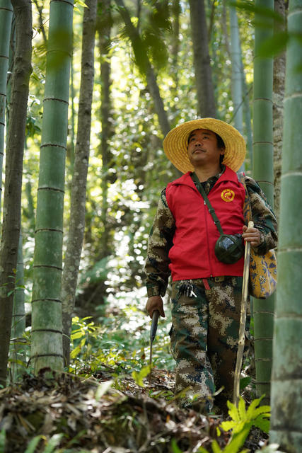 护林员  巡山  湿地  林区  保护 生态
