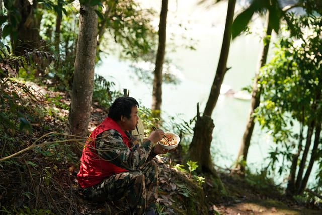 护林员  巡山  湿地  林区  保护 生态